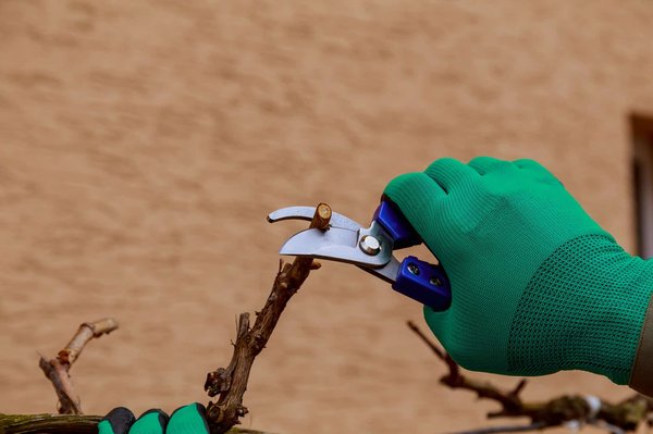 How to Choose the Right High-Performance Air Filter for a Ford Fiesta ST for Maximized Airflow?